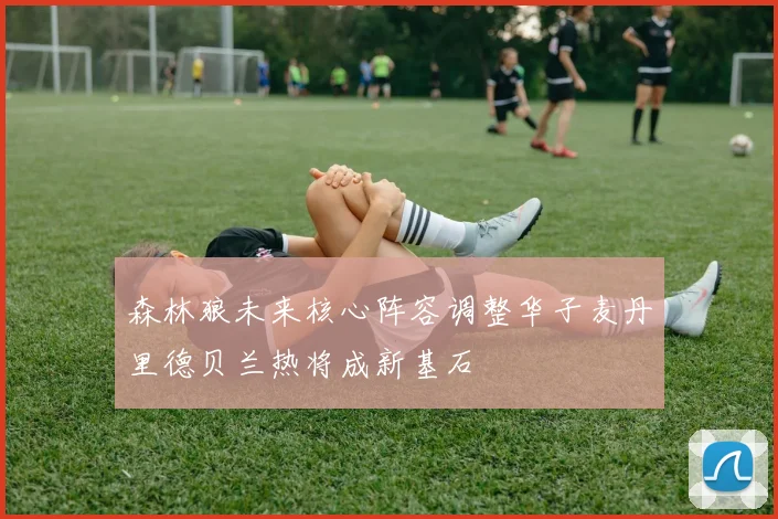 森林狼未来核心阵容调整华子麦丹里德贝兰热将成新基石